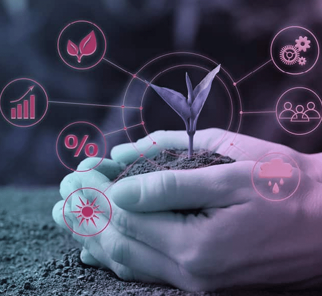 Каталог продуктів Rearden | REARDEN GROUP